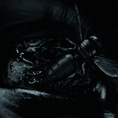 assembling_x's profile picture. 