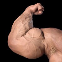 MaxMuscle3D(@MaxMuscle3D) 's Twitter Profileg