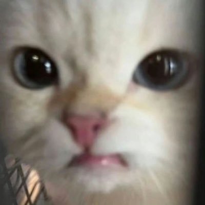 Eva_04_20's profile picture. ZB1💌🌹 🐼🐹🦊🐱🐷🐤🐶🦋🐰