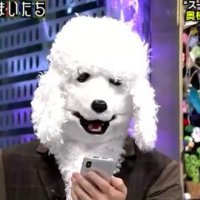 スーツプードル (@neo_pokeee) 's Twitter Profile