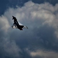 ExSecuricop (@driver45787494) 's Twitter Profile