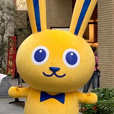 国民民主党を支持しているけど色んな政党の街頭演説に行くのが好きな人/見習いの社会人/無言フォローすみません/現状見る専(たまにつぶやく)