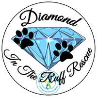 Diamond In The Ruff Rescue(@HeadRuffDiamond) 's Twitter Profile Photo