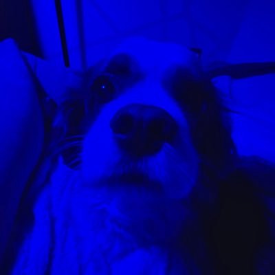 EhtryM's profile picture. 😌🤚