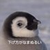 @versio16849321
