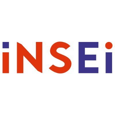 INSEI Profile