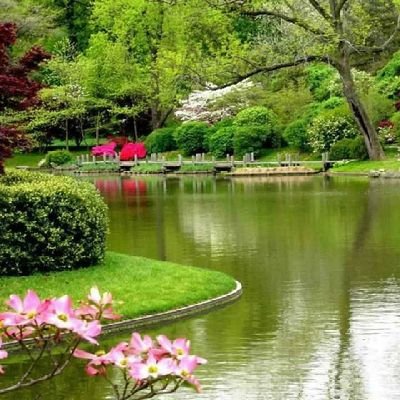 MhmdAlsah's profile picture. 