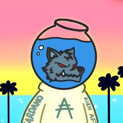 MDosch59203's profile picture. 