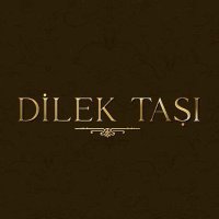 Dilek Taşı Etkinlik(@DilekTEtkinlik) 's Twitter Profile Photo