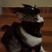 thiefpliskin (@thiefpliskin) 's Twitter Profile