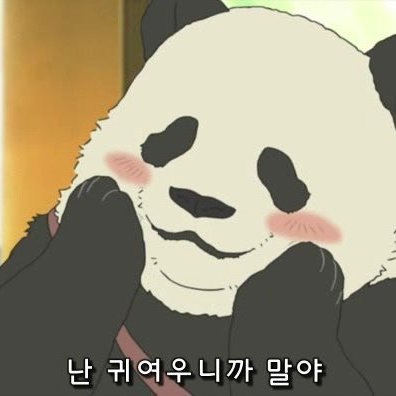 새싹 판다 🌱 🐼