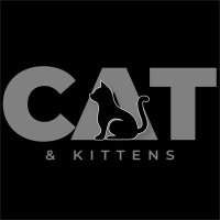 Cats and kittens 😺(@Mylife_catss) 's Twitter Profile Photo