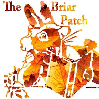 The Briar Patchさんのプロフィール画像