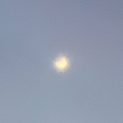 KortanaPlus's profile picture. Very Mousy