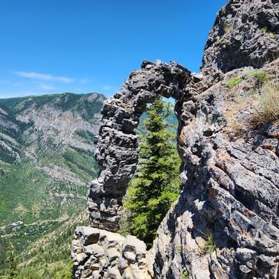 RCDJ420's profile picture. 