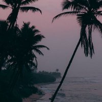 王先生 (@wangxiansh53732) 's Twitter Profile