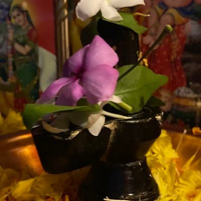 Monica13992469's profile picture. 