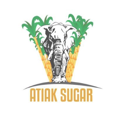 Atiak_Sugar Profile Picture
