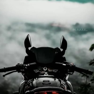 Rocky294892's profile picture. 