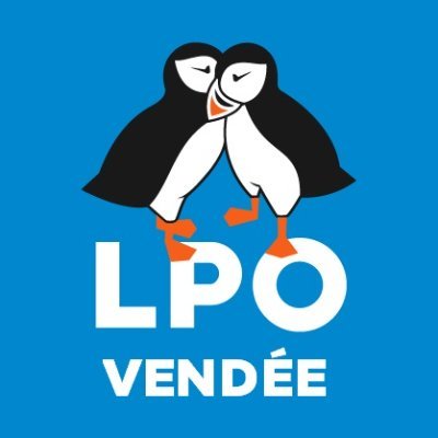 La #LPO85 Ligue pour la Protection des Oiseaux de #Vendée, association de protection de la nature, #faune #oiseaux #flore et #ecosystèmes 🐦
🦅🦆🦇🦊🐁🦉🦔🌼🐂