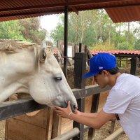 Miguel Corona (@mcorona_r) 's Twitter Profile