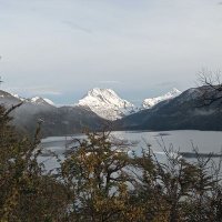 Carolina Salmon (@carslmm) 's Twitter Profile Photo