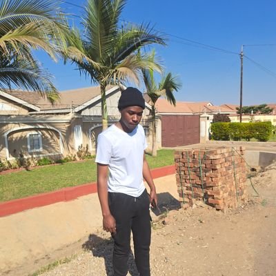 tommymunetsi's profile picture. 