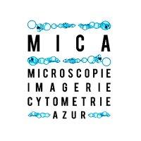 Microscopie Imagerie Cytométrie Azur (@mica_microscopy) 's Twitter Profile Photo Microscopie Imagerie Cytométrie Azur (@mica_microscopy) 's Twitter Profile Photo
