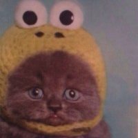 CappyCat (@getnukednerd) 's Twitter Profile