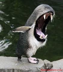 Bez_Umec's profile picture. Просто дурак.