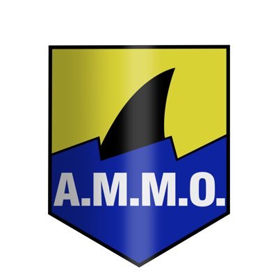 Благодійний фонд А.М.М.О. Україна