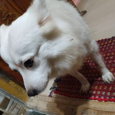 53levc's profile picture. Ranjay gajbhiye