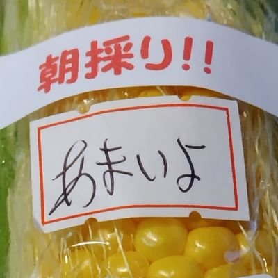 すぎのさんのプロフィール画像