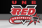 2005 Vred Prospects Spring hockey team!