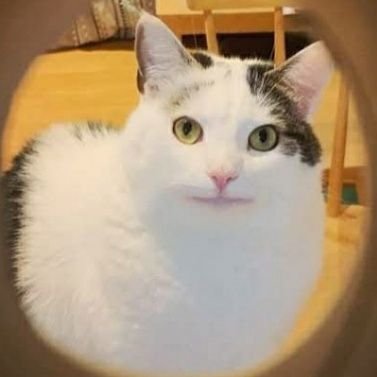 AsriSurya23's profile picture. 