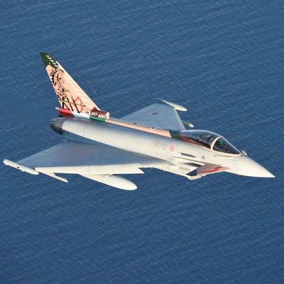 Appassionato di Aeronautica,Spazi aerei e Difesa.Amo gli Eurofighter ed il 36 Stormo🦅🏹@italianairforce❤️Tifoso di @sscnapoli💙 @scuderiaferrari @marcmarquez93