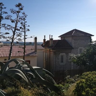 CecileBournat's profile picture. Doctorante en Histoire moderne, Aix-Marseille Université, Laboratoire TELEMMe

Rhône, économie illicite, fraude, contrebande