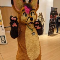 Foxxly the Fox (@foxfoxxly) 's Twitter Profile