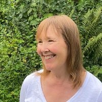 Katie Donovan (@katiedon5) 's Twitter Profile Photo Katie Donovan (@katiedon5) 's Twitter Profile Photo