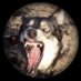 Midwest Deplorable (@midwstdeplorabl) Twitter profile photo Midwest Deplorable (@midwstdeplorabl) Twitter profile photo