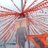 powerstar_prk's profile image