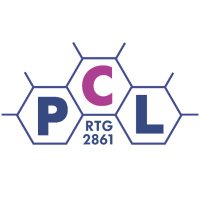 RTG2861 Planar Carbon Lattices(@RTG_PCL) 's Twitter Profile Photo