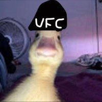 YerDa ⛰🦍 (@yerda312) 's Twitter Profile