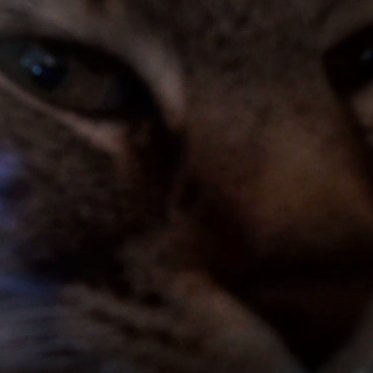 LucoCmoi's profile picture. 