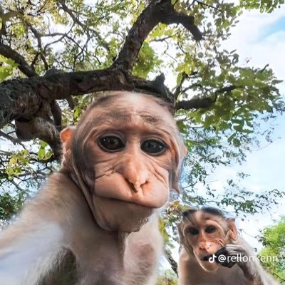 ChichiKovain's profile picture. 