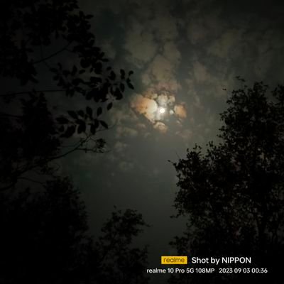 Axomiya8's profile picture. ⚔️ 𝐀𝐱𝐨𝐦𝐢𝐲𝐚 𝐥𝐨𝐫𝐚 ⚔️
✎  𝕄𝕒𝕙𝕒𝕕𝕖𝕧