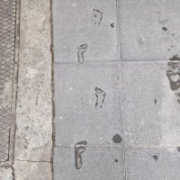 ferasian (@raskubi) 's Twitter Profile