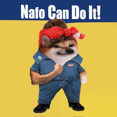 Ralucap55533332's profile picture. I'm here for the news