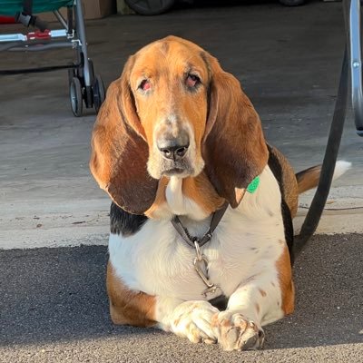 BwhetGolf Profile Picture