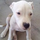 James bayless - @jbayless0729 - Twitter